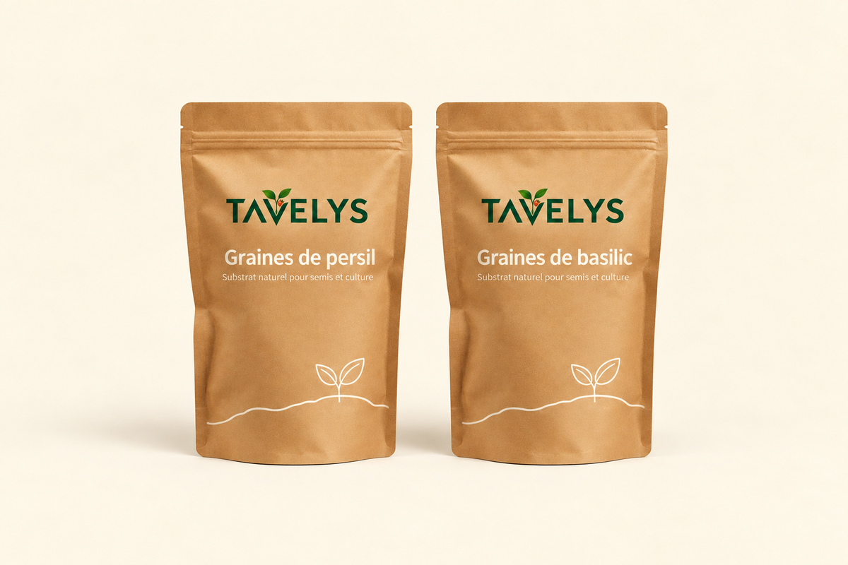 Graines