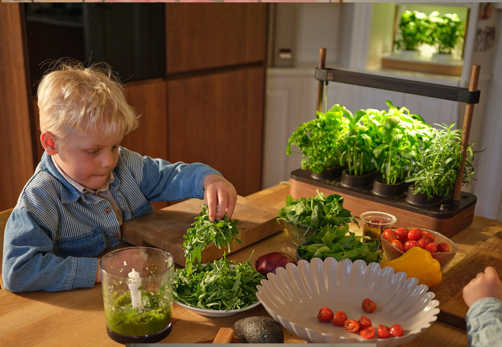Nombreuses récoltes avec Le Potager Tavelys
