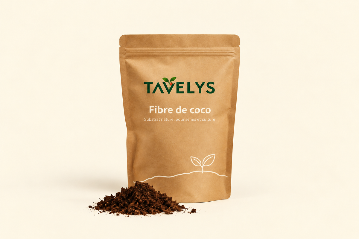 Fibre de coco
