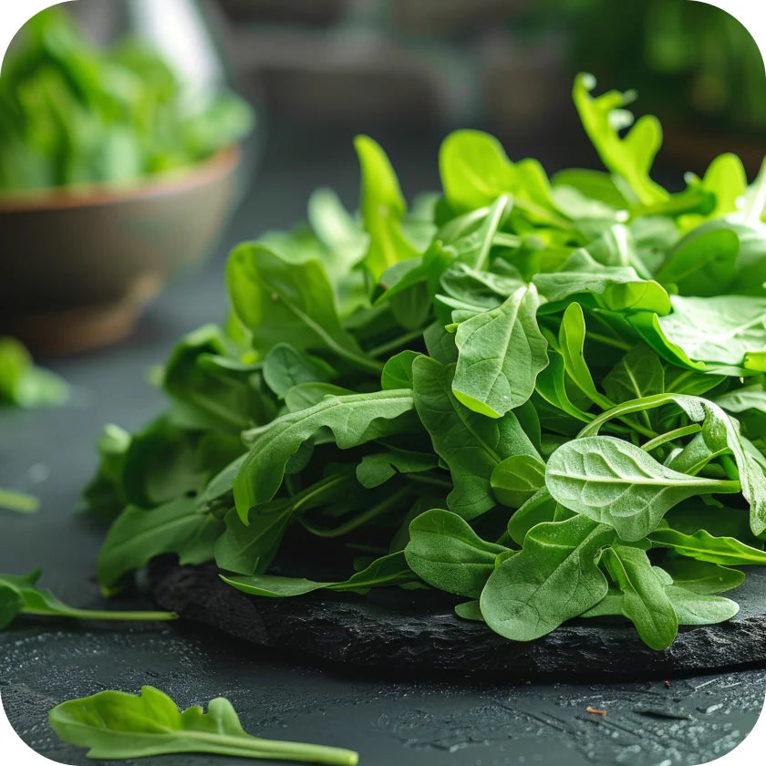 Roquette fraîche